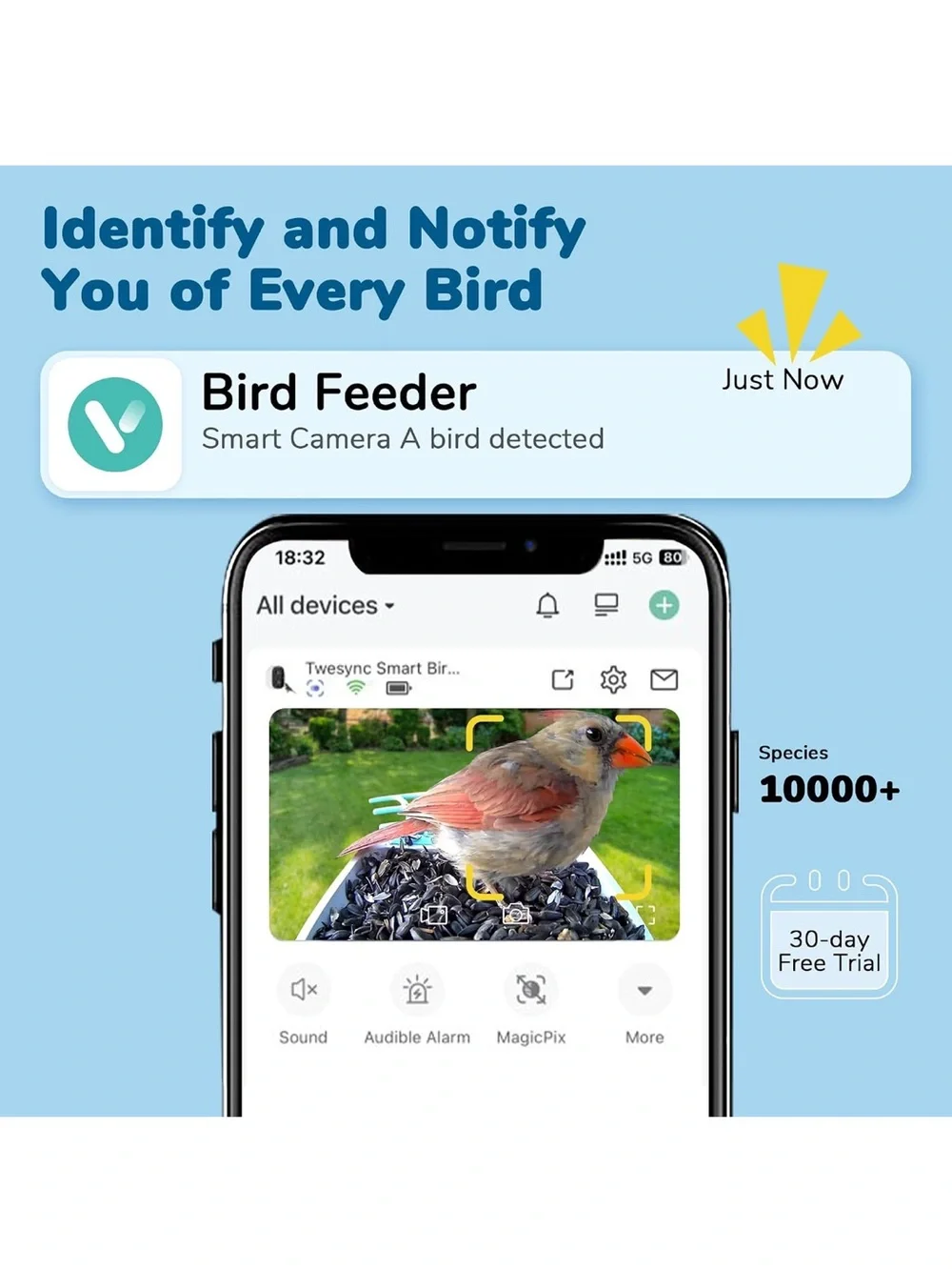 Brand new Bird Feeder Camera 2k Hd video